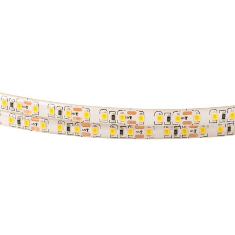 Taśma LED 2835 600 48W 12V IP63 6500K 600lm/1m /5m/